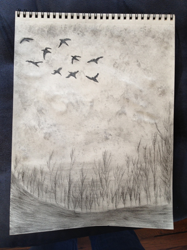 Bird Drawing - Flock over trees