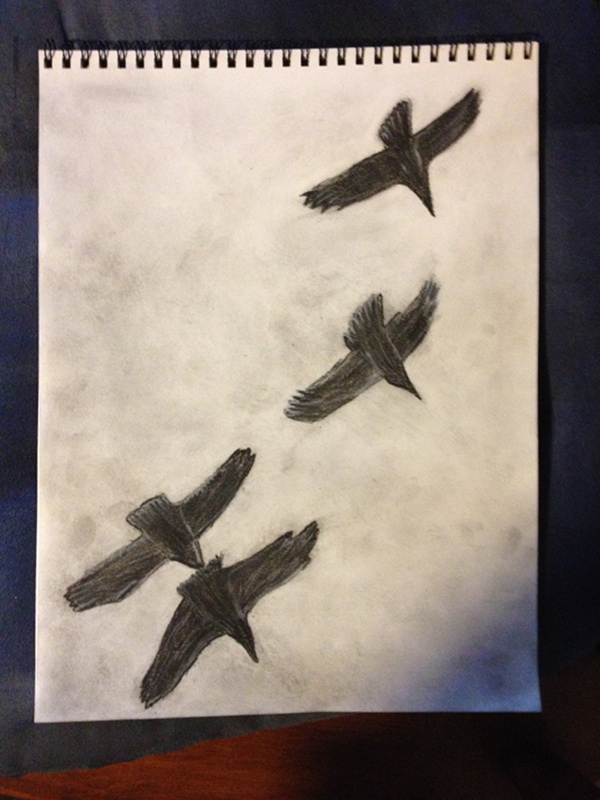 Bird drawing - Tumbling Ravens