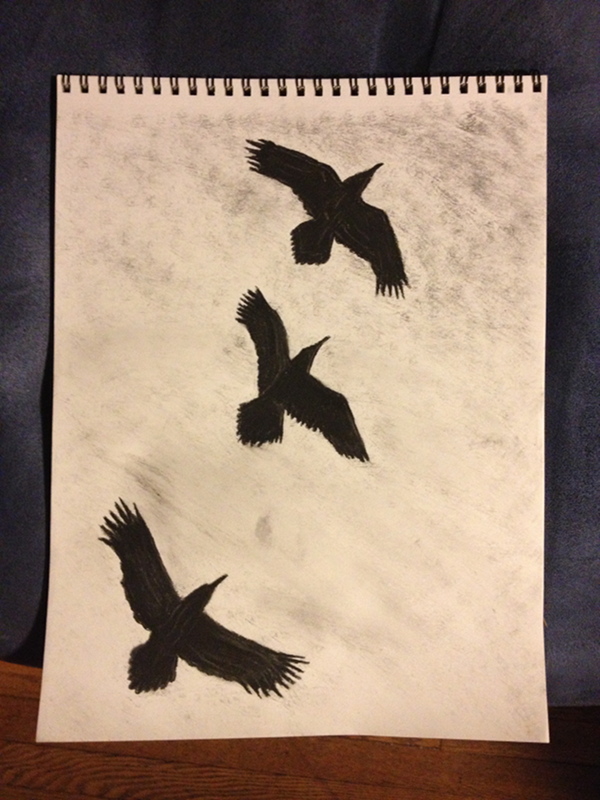 ravens flying drawing