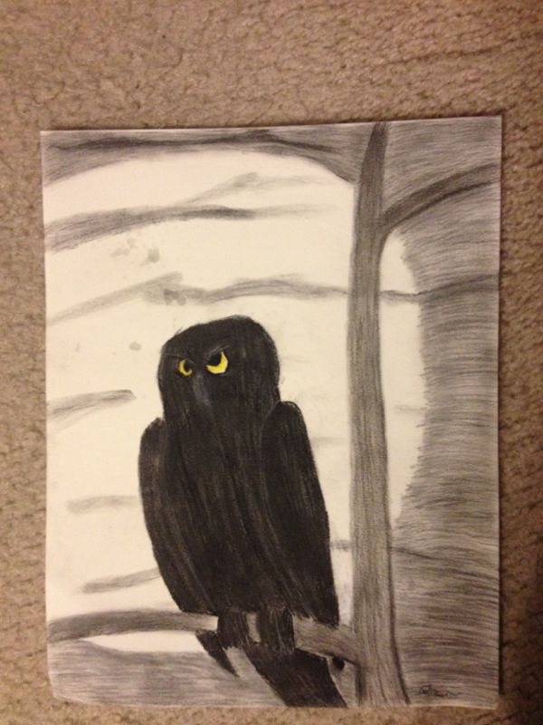 Moonlit Owl
